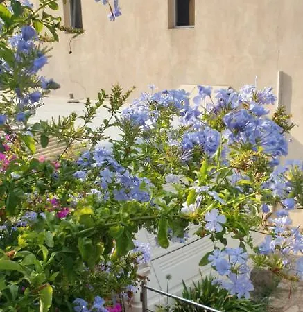 Les Restanques Du Sud * Le Lavandou